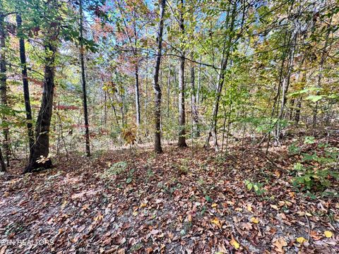 Tiny photo for 1206 Bluff Rd, Newport, TN 37821 (MLS # 1319943)