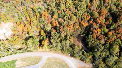 Tiny photo for 1206 Bluff Rd, Newport, TN 37821 (MLS # 1319943)