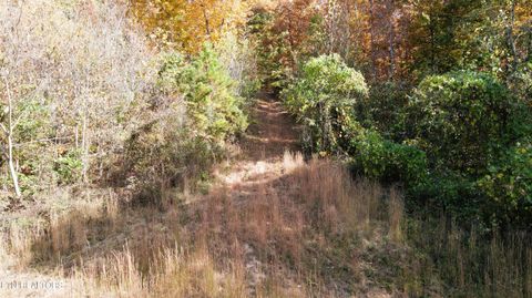 Tiny photo for 1206 Bluff Rd, Newport, TN 37821 (MLS # 1319943)