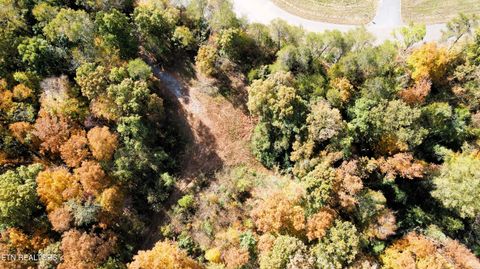 Tiny photo for 1206 Bluff Rd, Newport, TN 37821 (MLS # 1319943)
