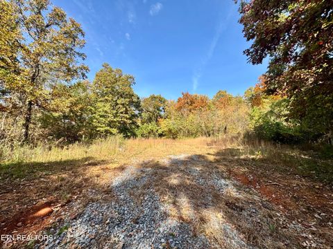 Tiny photo for 1206 Bluff Rd, Newport, TN 37821 (MLS # 1319943)