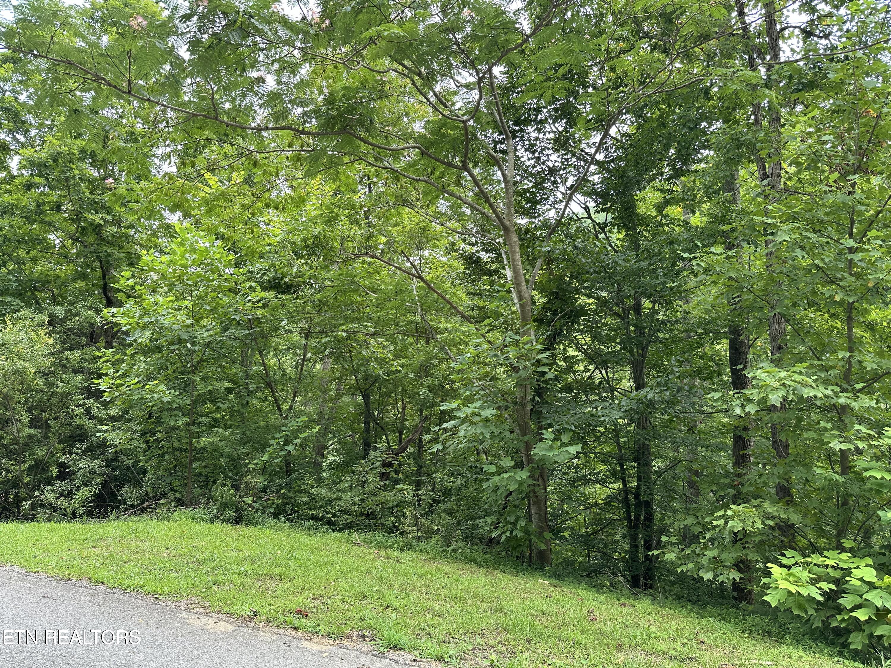 lots 21&22 Ridge Rd