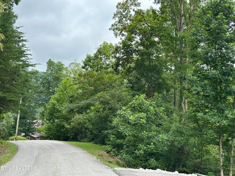lots 21&22 Ridge Rd Caryville TN 37714
