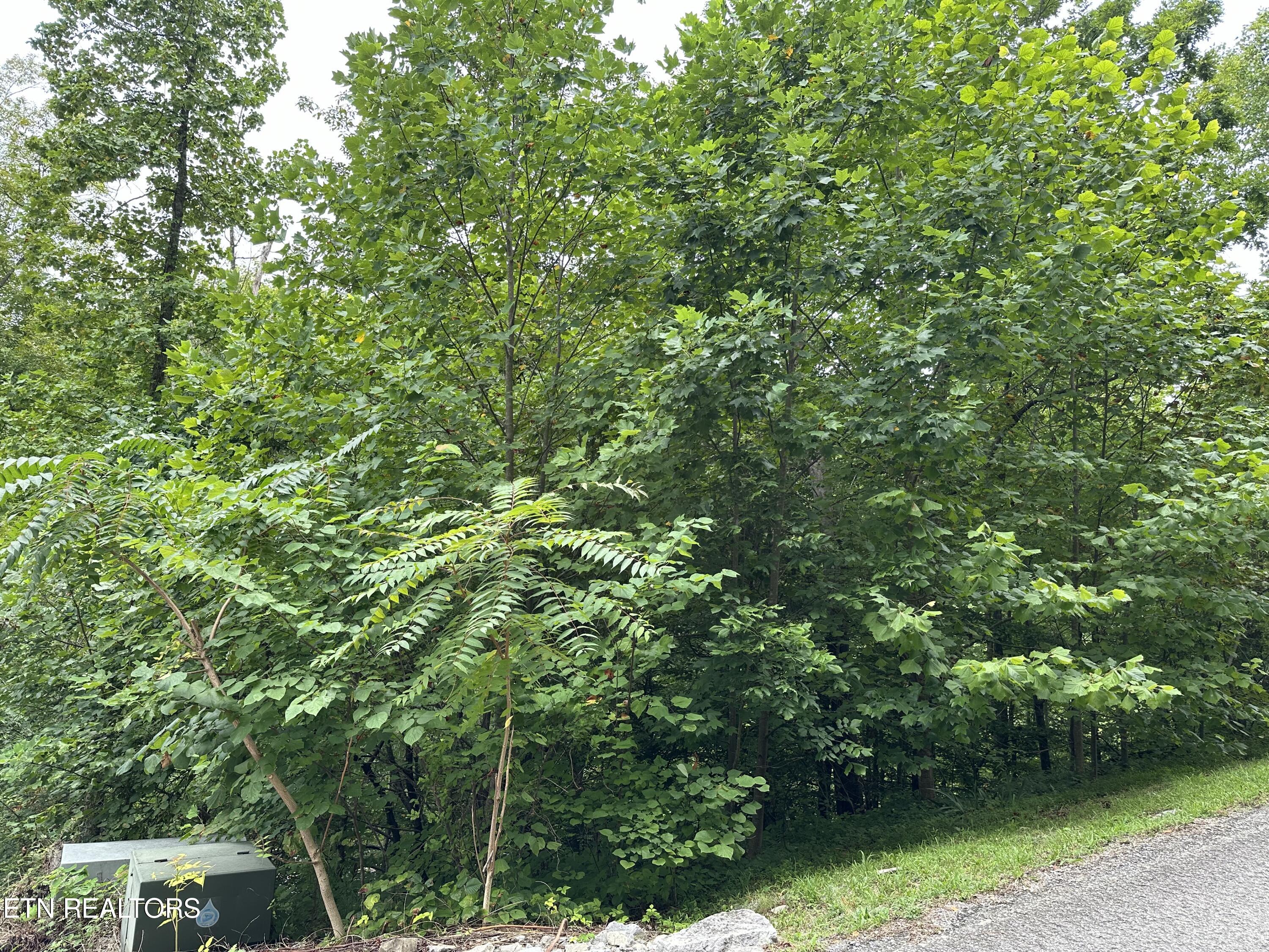 lots 21&22 Ridge Rd