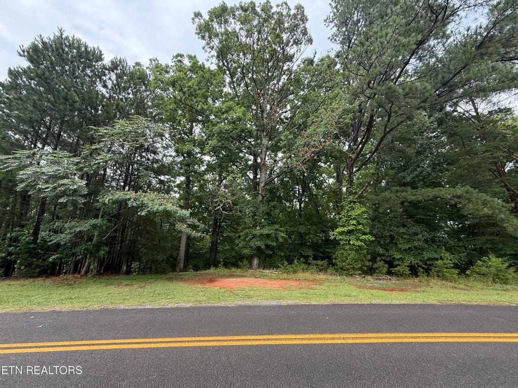 Photo of Old Chisholm Tr, Dandridge, TN 37725 (MLS # 1346295)