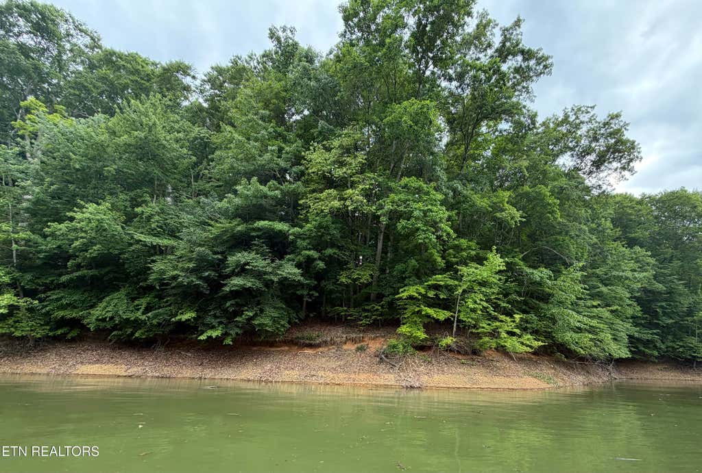 Photo of Old Chisholm Tr, Dandridge, TN 37725 (MLS # 1346295)