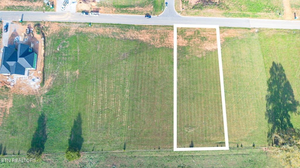 Photo of 1025 Herbert Drive, Greenback, TN 37742 (MLS # 1282389)