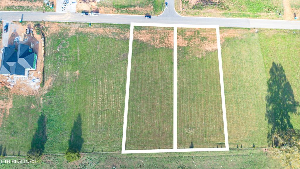 Photo of 1025 Herbert Drive, Greenback, TN 37742 (MLS # 1282389)