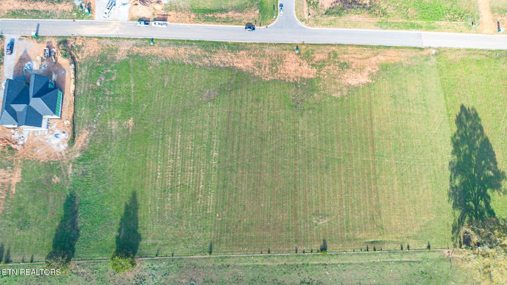 Photo of 1025 Herbert Drive, Greenback, TN 37742 (MLS # 1282389)