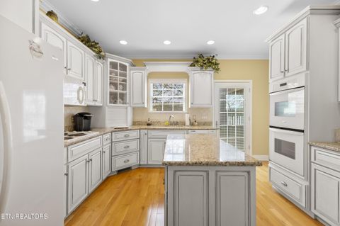 Tiny photo for 1166 Wildcat Rd, Bean Station, TN 37708 (MLS # 1336214)