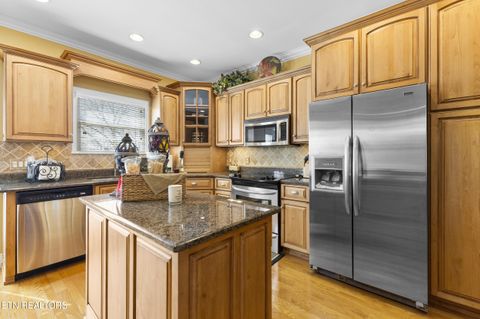 Tiny photo for 1166 Wildcat Rd, Bean Station, TN 37708 (MLS # 1336214)