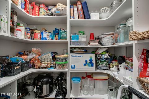 Tiny photo for 9208 Tropical Lane, Knoxville, TN 37922 (MLS # 1325880)