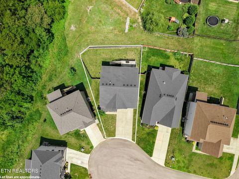 Tiny photo for 10615 Tin Man Lane, Knoxville, TN 37932 (MLS # 1346557)
