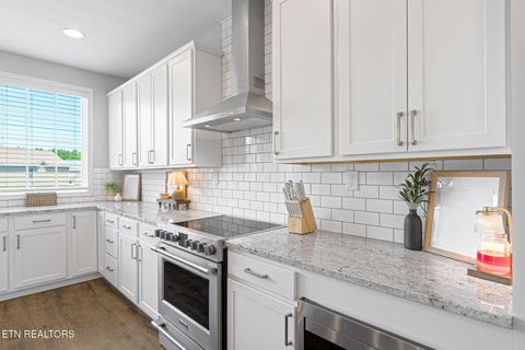 Tiny photo for 10615 Tin Man Lane, Knoxville, TN 37932 (MLS # 1346557)