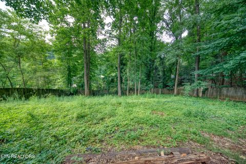 Tiny photo for 355 Walnut Valley Rd, Clinton, TN 37716 (MLS # 1345994)