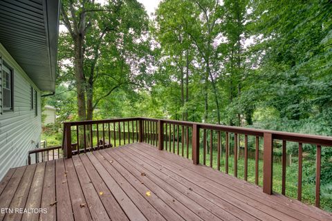 Tiny photo for 355 Walnut Valley Rd, Clinton, TN 37716 (MLS # 1345994)