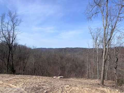 Photo of 4575 Upper Crab Rd, Jamestown, TN 38556 (MLS # 1332618)