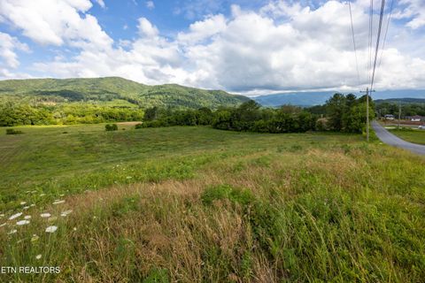 Tiny photo for 32 Holders Grove Rd, Cosby, TN 37722 (MLS # 1332309)