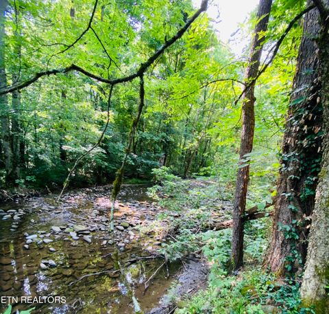 Tiny photo for 32 Holders Grove Rd, Cosby, TN 37722 (MLS # 1332309)