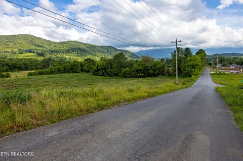 Tiny photo for 32 Holders Grove Rd, Cosby, TN 37722 (MLS # 1332309)