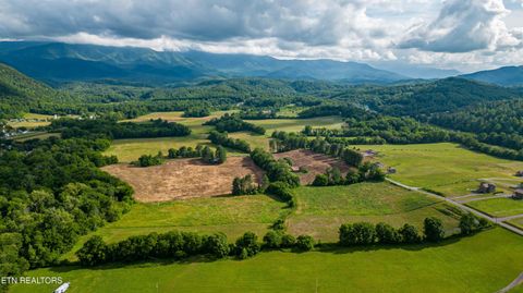 Tiny photo for 32 Holders Grove Rd, Cosby, TN 37722 (MLS # 1332309)