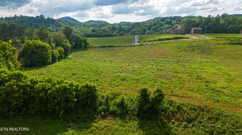 Tiny photo for 32 Holders Grove Rd, Cosby, TN 37722 (MLS # 1332309)
