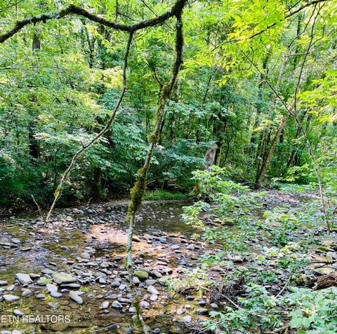 Tiny photo for 32 Holders Grove Rd, Cosby, TN 37722 (MLS # 1332309)