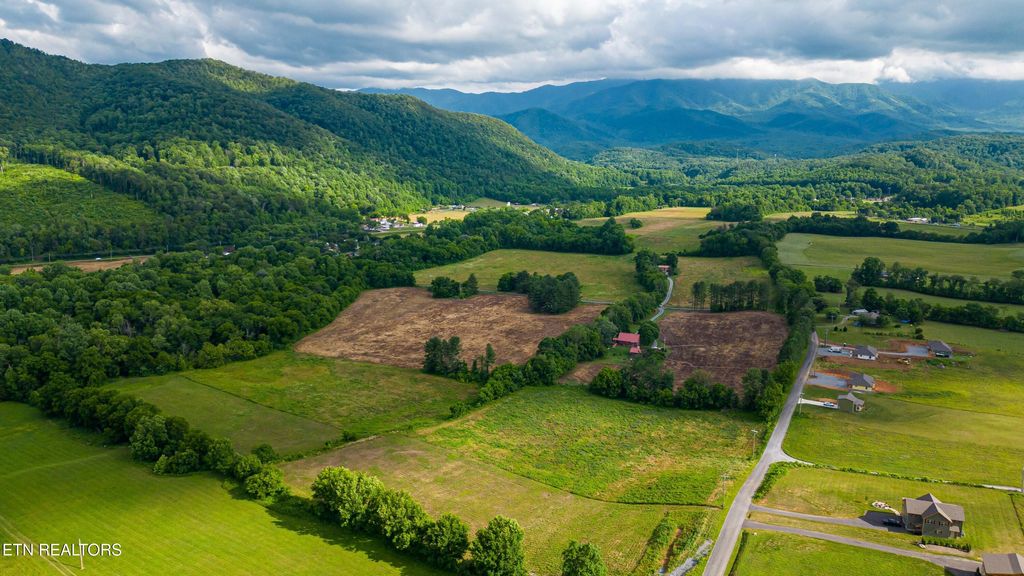 Photo of 32 Holders Grove Rd, Cosby, TN 37722 (MLS # 1332309)