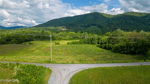 Tiny photo for 32 Holders Grove Rd, Cosby, TN 37722 (MLS # 1332309)