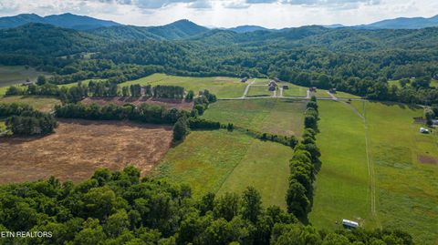 Tiny photo for 32 Holders Grove Rd, Cosby, TN 37722 (MLS # 1332309)