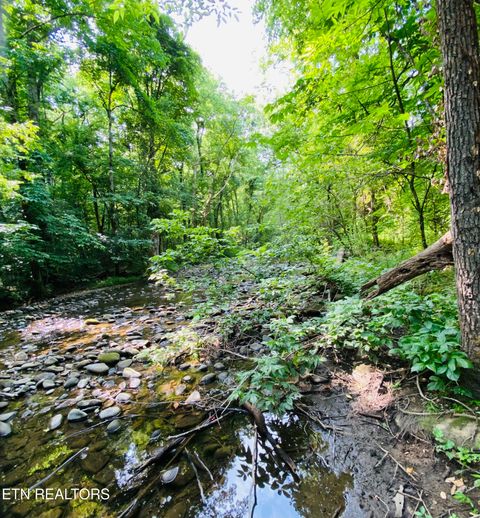 Tiny photo for 32 Holders Grove Rd, Cosby, TN 37722 (MLS # 1332309)