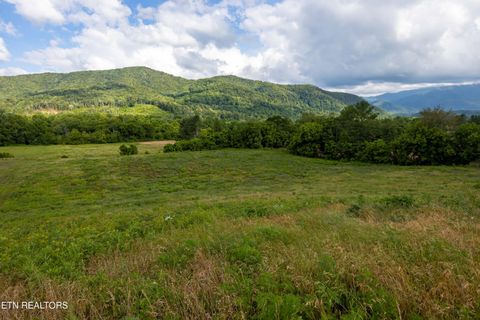 Tiny photo for 32 Holders Grove Rd, Cosby, TN 37722 (MLS # 1332309)