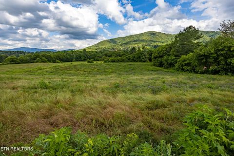 Photo of 32 Holders Grove Rd, Cosby, TN 37722 (MLS # 1332309)