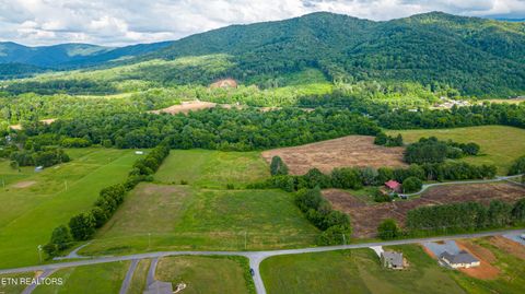 Tiny photo for 32 Holders Grove Rd, Cosby, TN 37722 (MLS # 1332309)