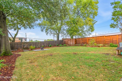 Tiny photo for 911 Gratz St, Knoxville, TN 37917 (MLS # 1357008)