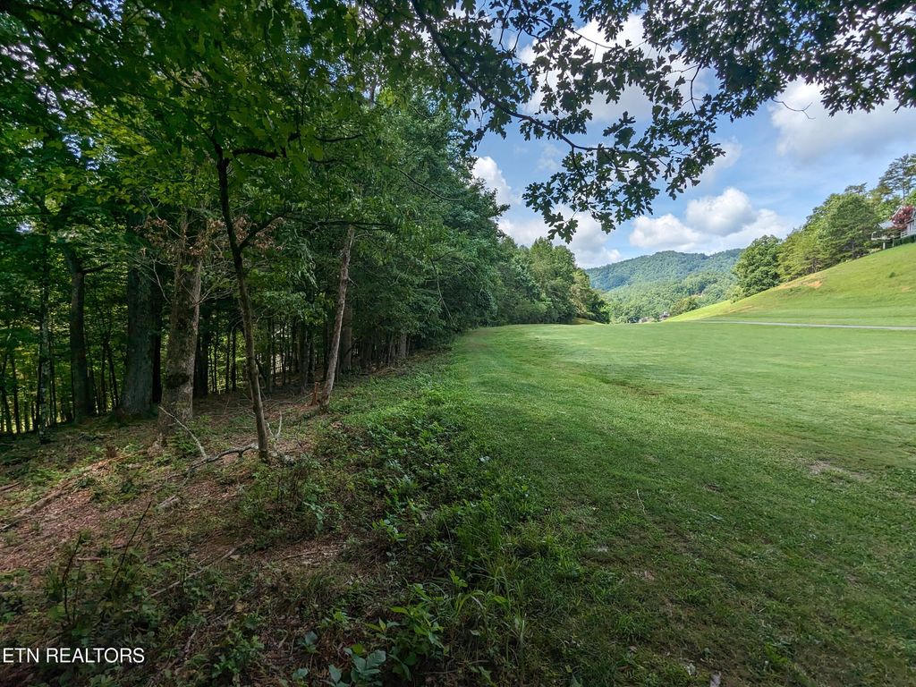 Photo of 746 Hunters Run Rd, Townsend, TN 37882 (MLS # 1271893)