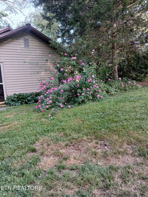 Tiny photo for 7709 Neubert Springs Rd, Knoxville, TN 37920 (MLS # 1338419)