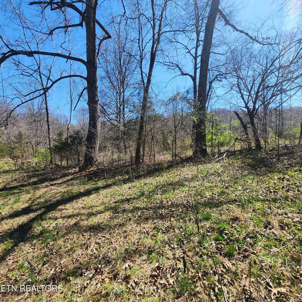 Photo of 4 Hubbs Grove Rd, Maynardville, TN 37807 (MLS # 1256491)