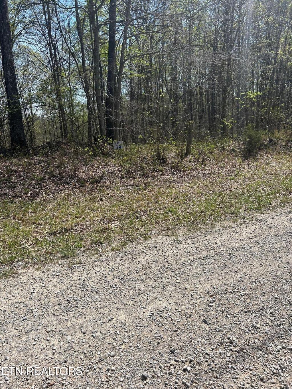 Photo of 28 Jones Ridge Rd, Speedwell, TN 37870 (MLS # 1335154)