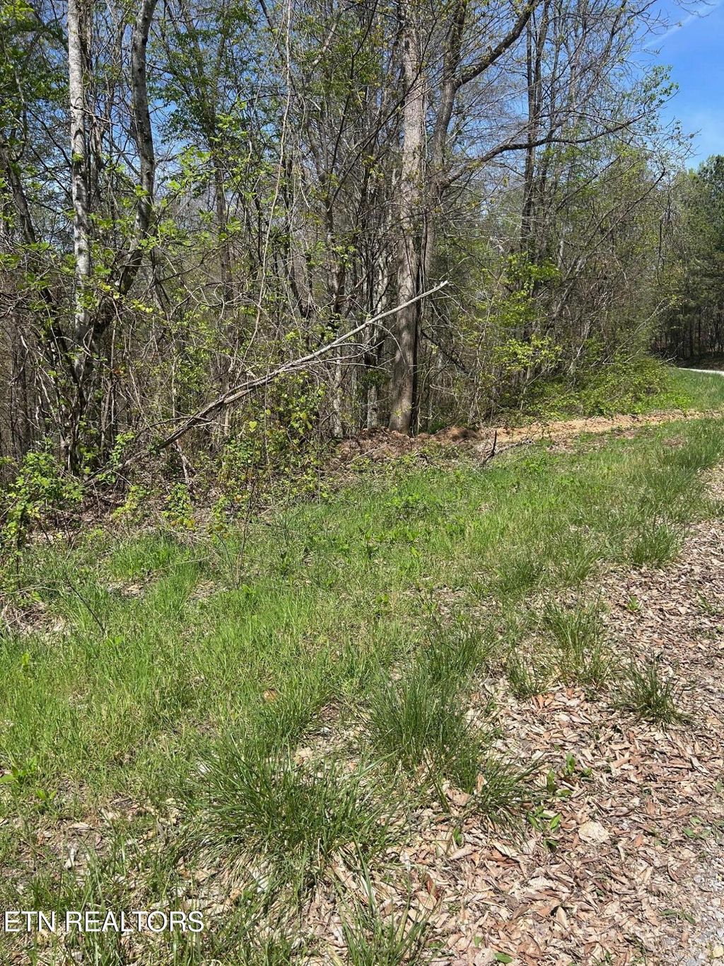 Photo of 28 Jones Ridge Rd, Speedwell, TN 37870 (MLS # 1335154)
