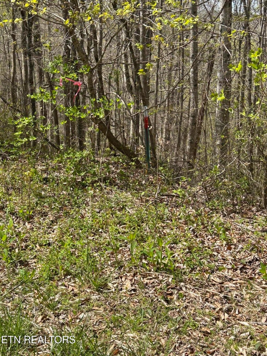 Photo of 28 Jones Ridge Rd, Speedwell, TN 37870 (MLS # 1335154)
