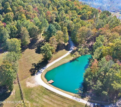 Photo of 1436 Alderville Rd, Winfield, TN 37892 (MLS # 1319251)