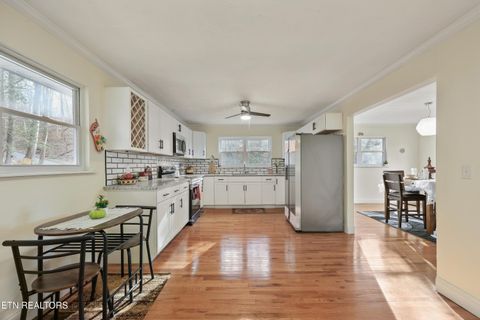 Tiny photo for 790 Sulphur Springs Rd, Clinton, TN 37716 (MLS # 1326465)