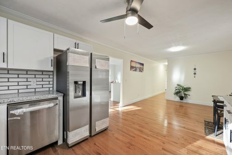 Tiny photo for 790 Sulphur Springs Rd, Clinton, TN 37716 (MLS # 1326465)