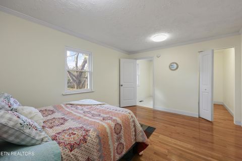 Tiny photo for 790 Sulphur Springs Rd, Clinton, TN 37716 (MLS # 1326465)