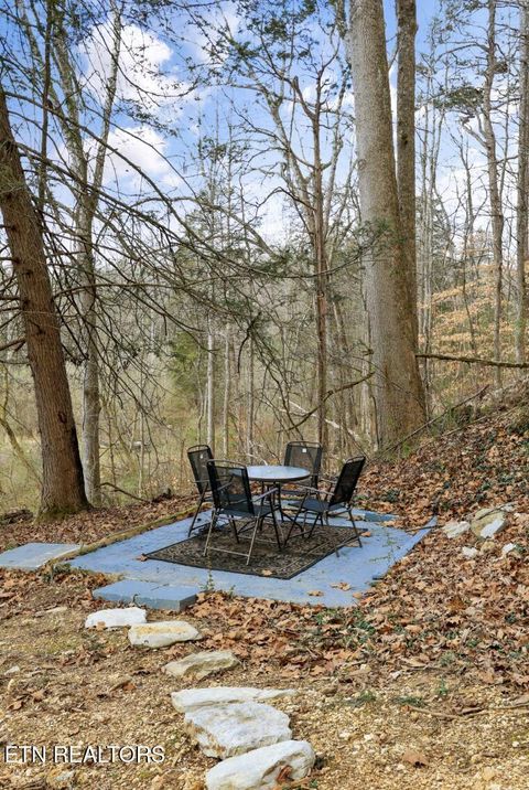 Tiny photo for 790 Sulphur Springs Rd, Clinton, TN 37716 (MLS # 1326465)
