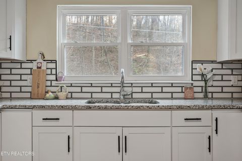 Tiny photo for 790 Sulphur Springs Rd, Clinton, TN 37716 (MLS # 1326465)