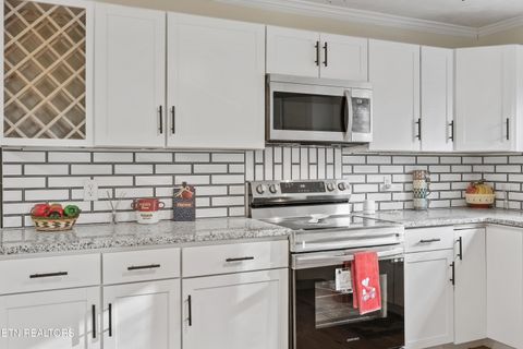 Tiny photo for 790 Sulphur Springs Rd, Clinton, TN 37716 (MLS # 1326465)