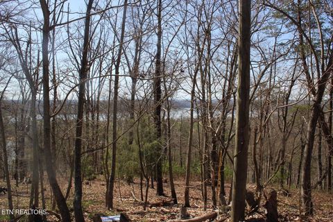 Tiny photo for 828 Wilderness Drive, Mooresburg, TN 37811 (MLS # 1332474)