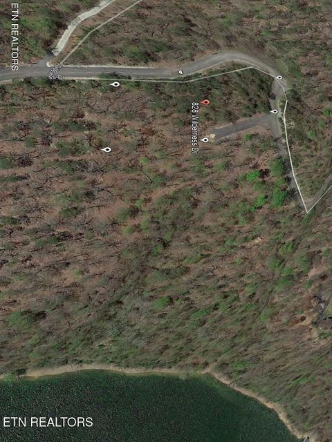 Photo of 828 Wilderness Drive, Mooresburg, TN 37811 (MLS # 1332474)